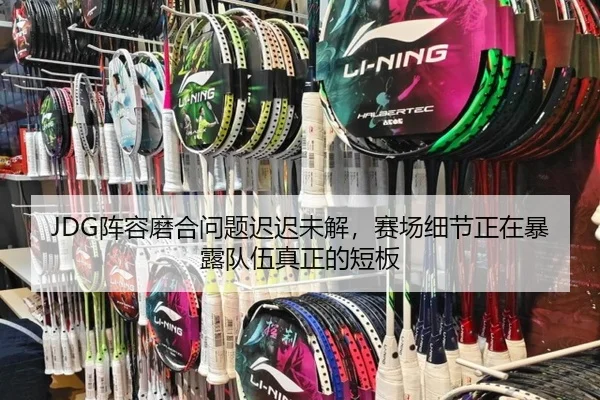 JDG阵容磨合问题迟迟未解，赛场细节正在暴露队伍真正的短板